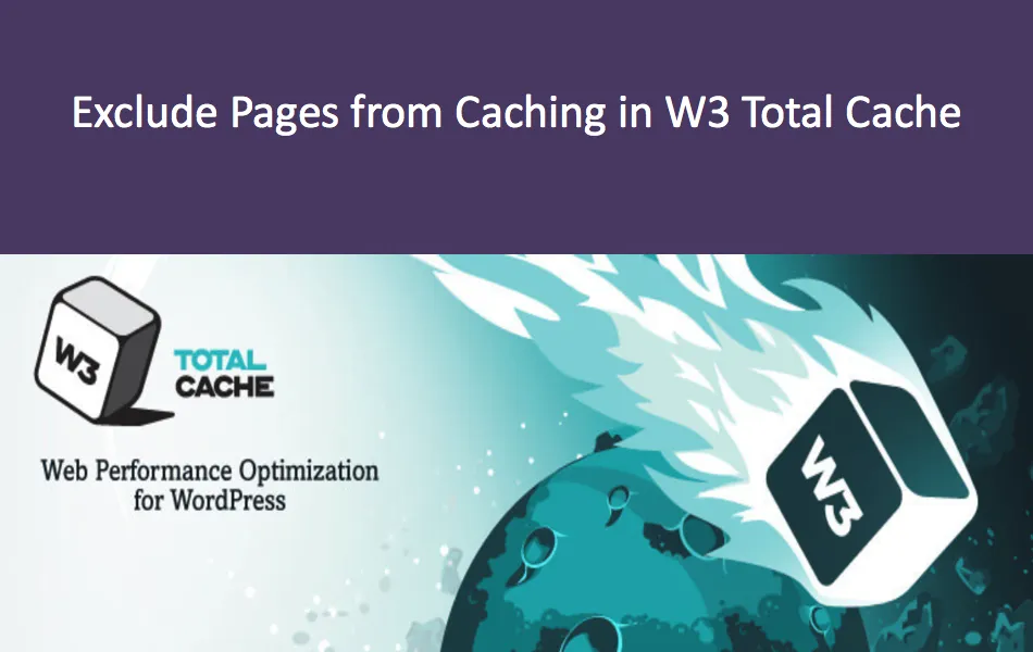 从W3 Total Cache插件缓存中排除页面和目录-外贸技术家园