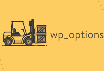 如何清理wp_options表和自动加载的数据-外贸技术家园